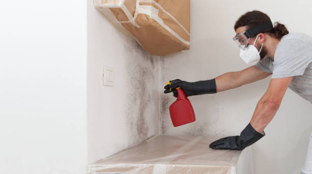 Professional Basement Mold Remediation technician working in Guston, KY