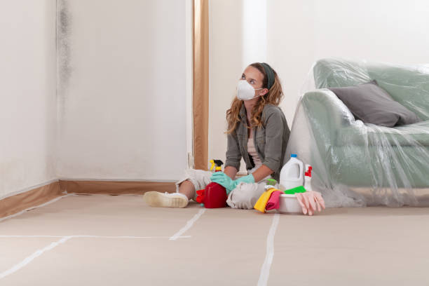 Reliable Basement Mold Remediation contractor in Guston, KY by WQB Mold Removal